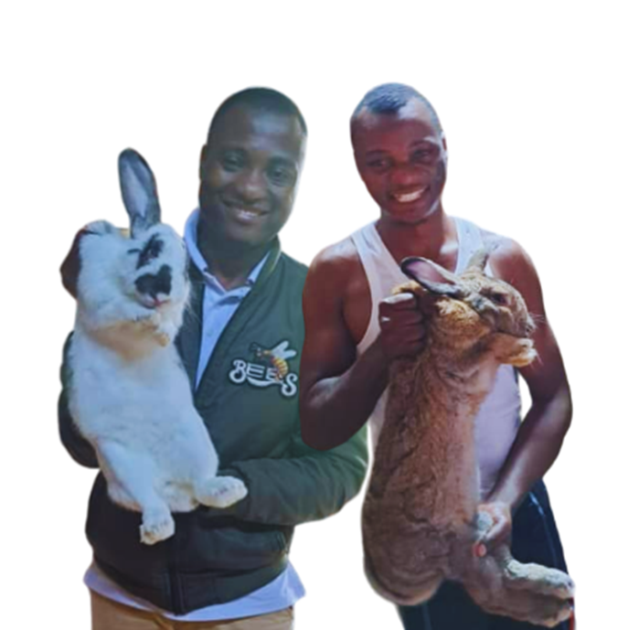 Harunah Damba (right) and Michael Balibali (left) showcase some of the giant rabbit breeds they rear on their farm. Harunah says finding a reliable market for their products has been a persistent challenge.